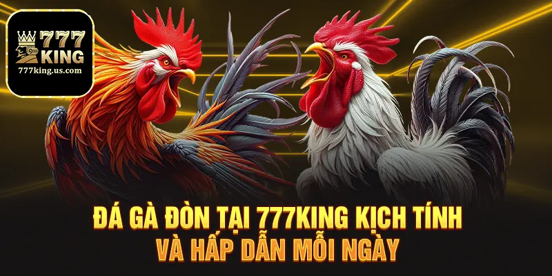 Đá Gà Đòn Tại 777king Kịch Tính Và Hấp Dẫn Mỗi Ngày 1 da ga don tai 777king kich tinh va hap dan moi ngay