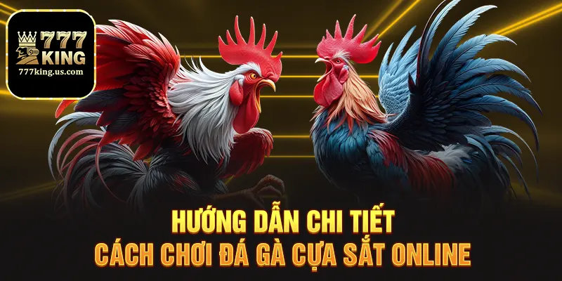 Đá Gà Cựa Sắt 777king Trận Đấu Đỉnh Cao Cho Người Chơi 3 Hướng dẫn chi tiết cách chơi đá gà cựa sắt online