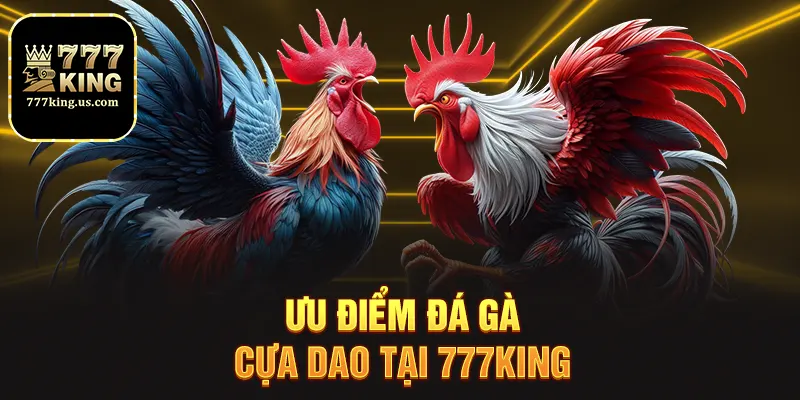 Đá Gà Cựa Dao – Trải Nghiệm Đỉnh Cao Cá Cược Tại 777king 4 Ưu điểm đá gà cựa dao tại 777king