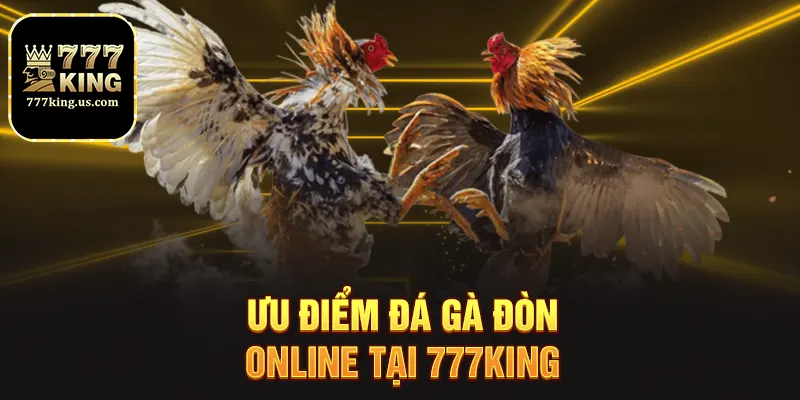 Đá Gà Đòn Tại 777king Kịch Tính Và Hấp Dẫn Mỗi Ngày 4 Ưu điểm đá gà đòn online tại 777king